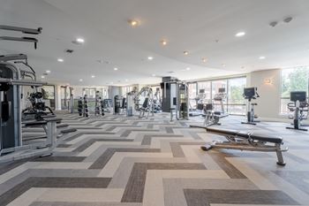 Spacious gym with equipments